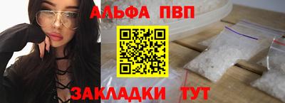 спиды Кингисепп