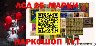 спиды Кингисепп