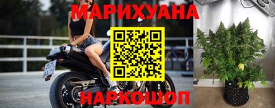 спиды Кингисепп