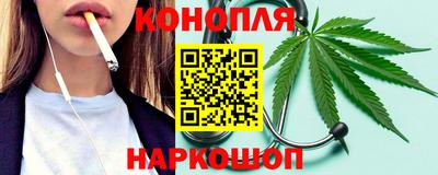 спиды Кингисепп