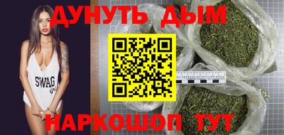 спиды Кингисепп