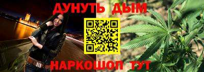 спиды Кингисепп