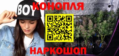 спиды Кингисепп